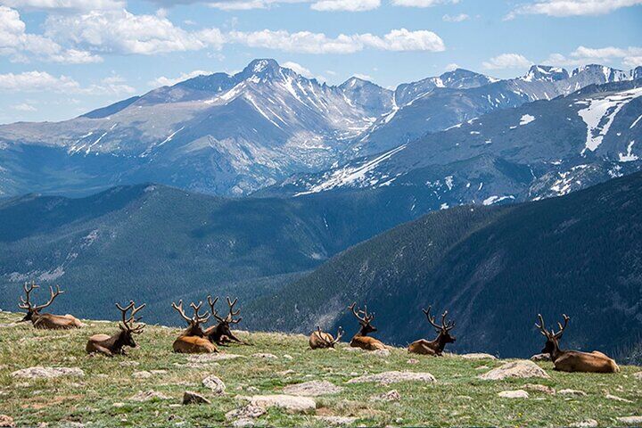 Rocky Mountain National Park - 소규모 그룹 투어 및 피크닉