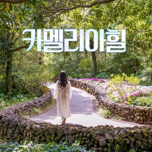 [제주] 카멜리아힐+심쿵혜택