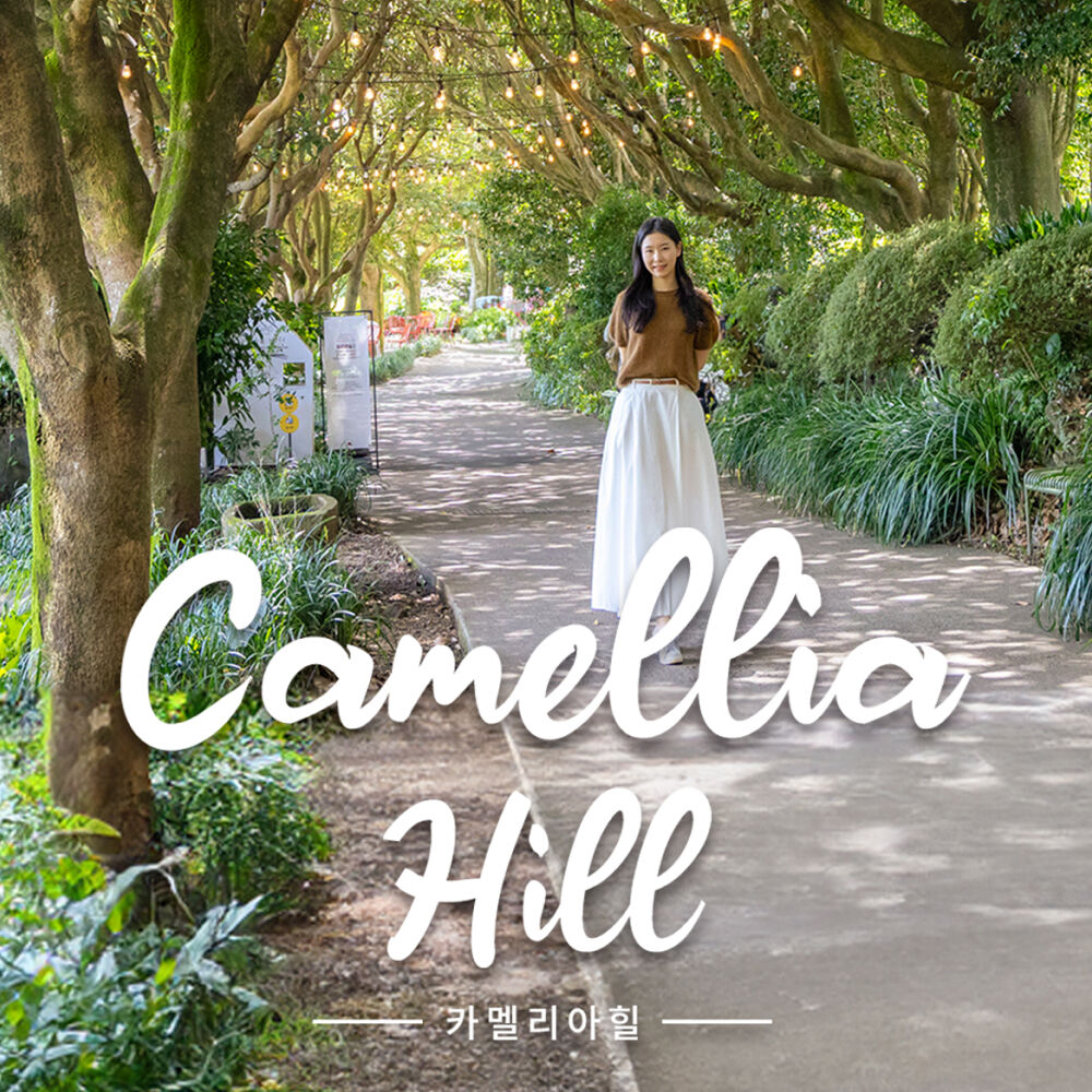 [제주] 카멜리아힐 + 고흐의정원 (+추가 관광지 혜택증정)