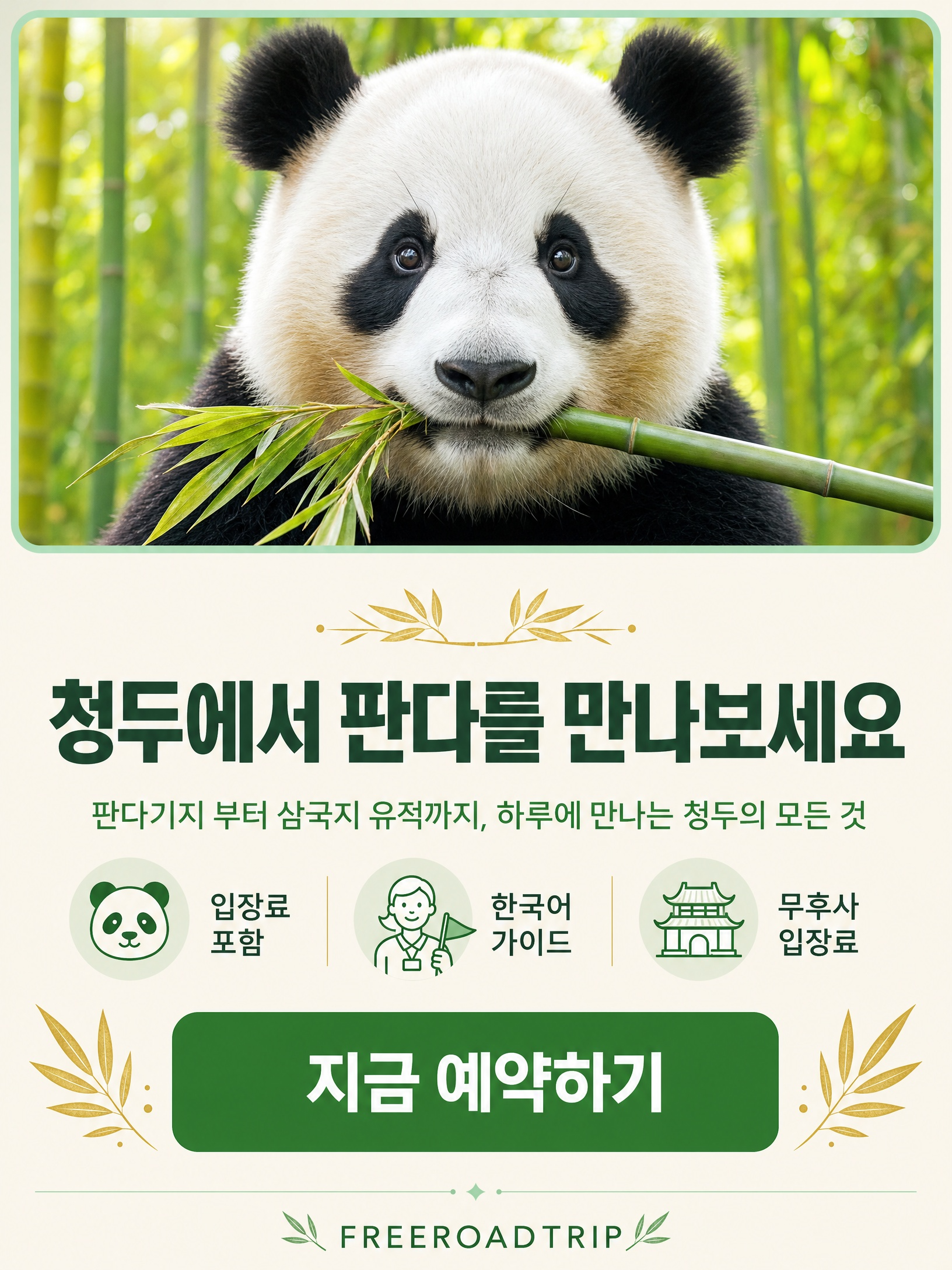 [팬더보러가기]청두 팬더기지투어 및 삼국지의 현장 도보 올데이투어 상세 이미지 8
