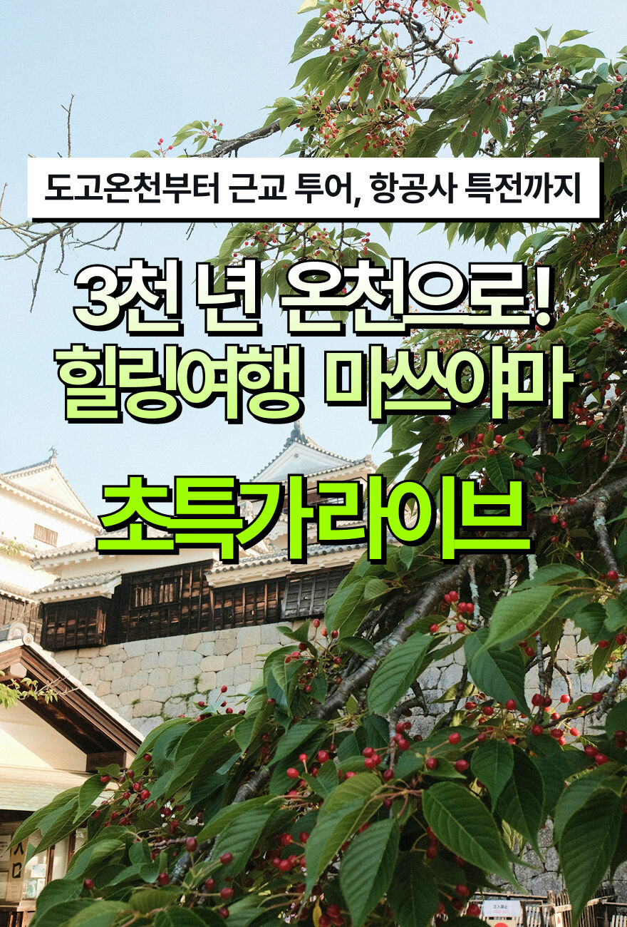 마쓰야마 에어텔 특가