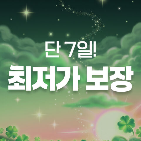할인 프로모션