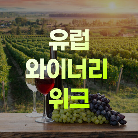 와이너리 특가
