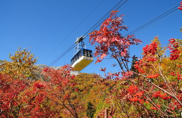 부산출발 도야마 4일 #알펜루트 #카미코지 #사라카와고 #유리미술관-i