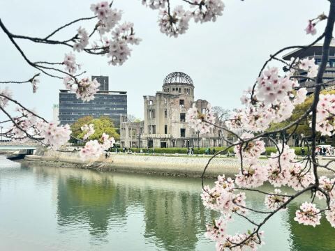히로시마 투어 - 히로시마 역사 그룹 워킹 투어
