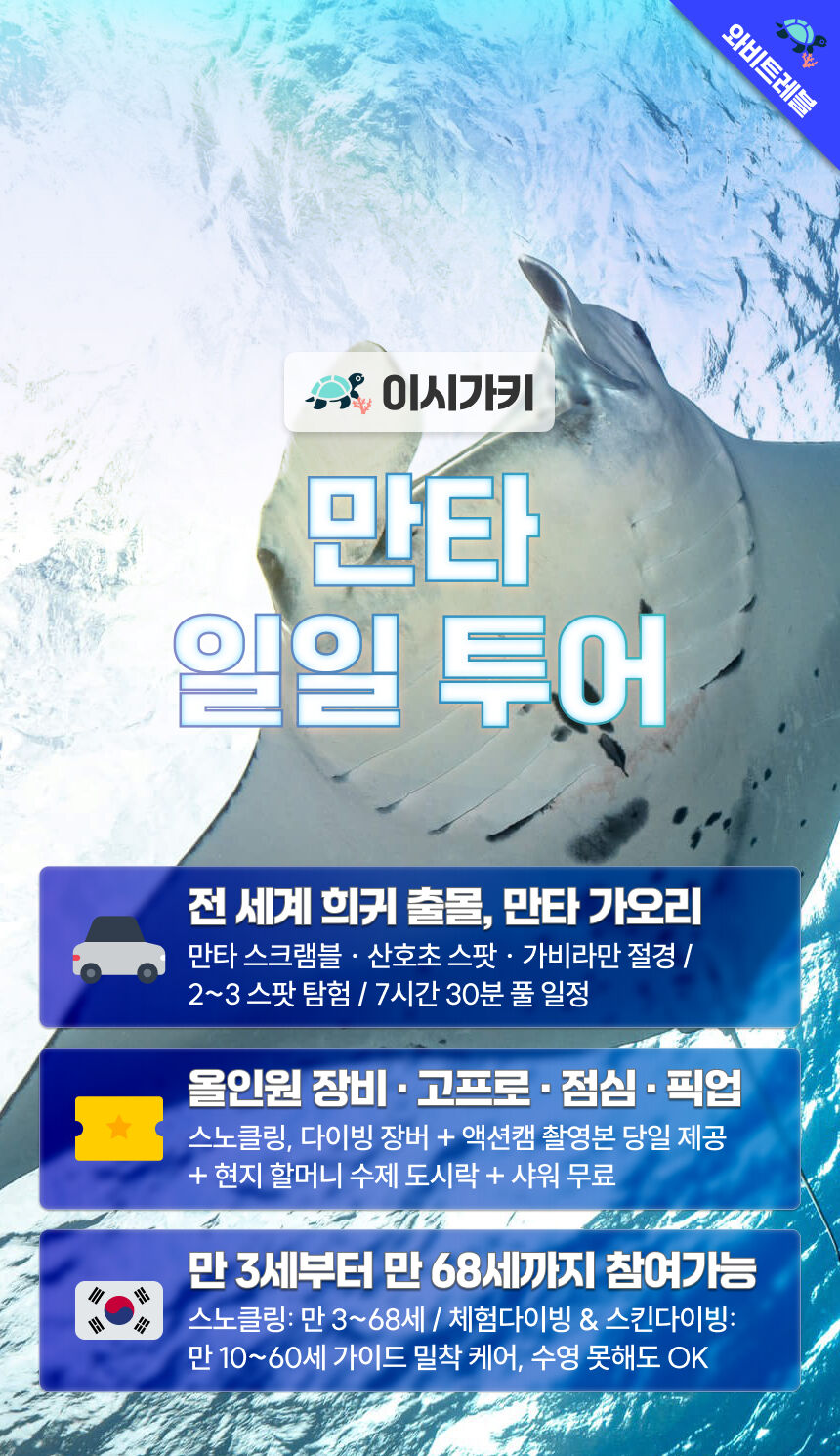 [점심 + 사진 촬영 + 송영 포함] 이시가키 만타 일일 보트투어 호핑투어 일일투어 상세 이미지 1