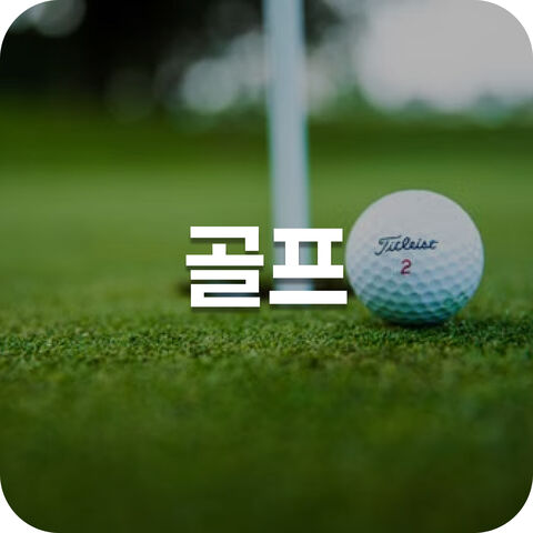 골프