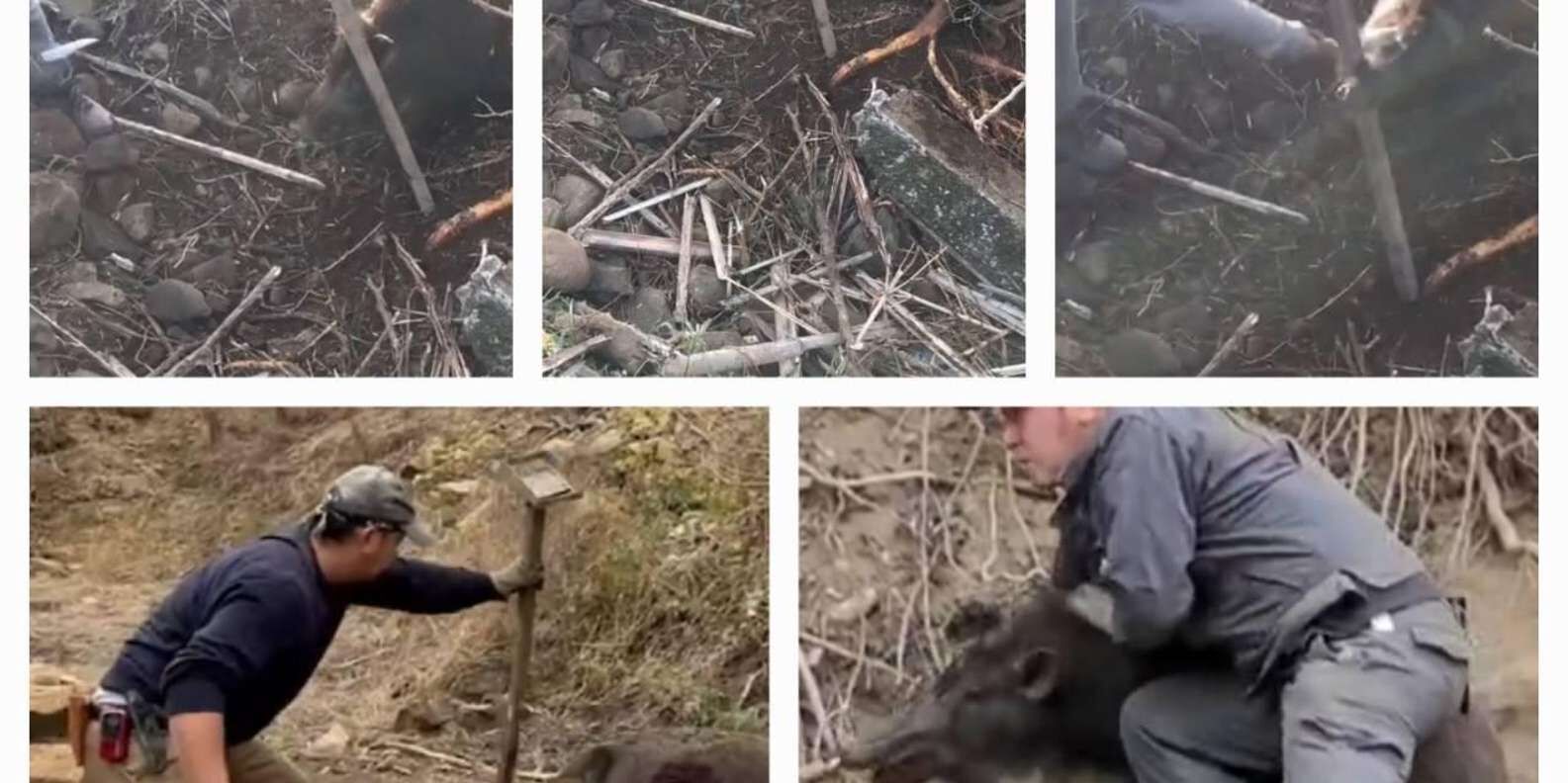 전통 농가에서 즐기는 염소 구경, 다도, 점심 체험 상세 이미지 3