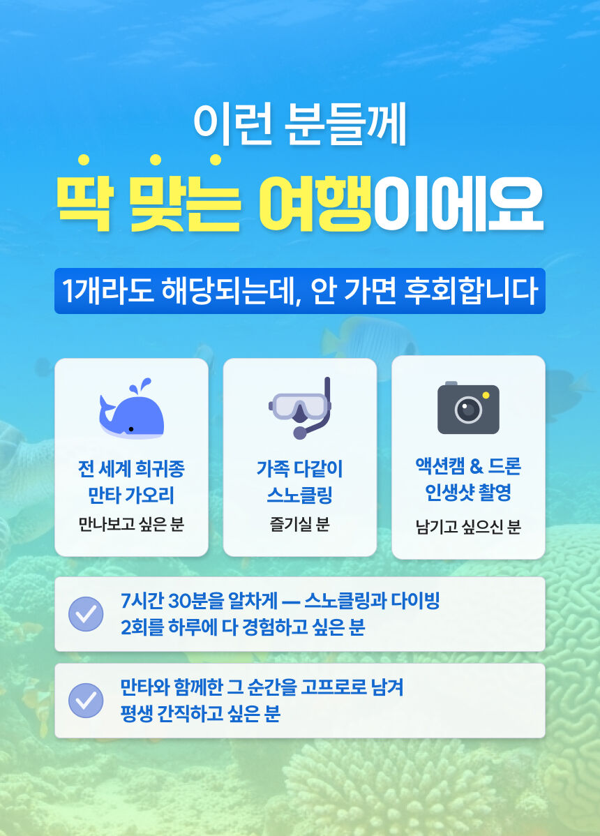 [점심 + 사진 촬영 + 송영 포함] 이시가키 만타 일일 보트투어 호핑투어 일일투어 상세 이미지 3