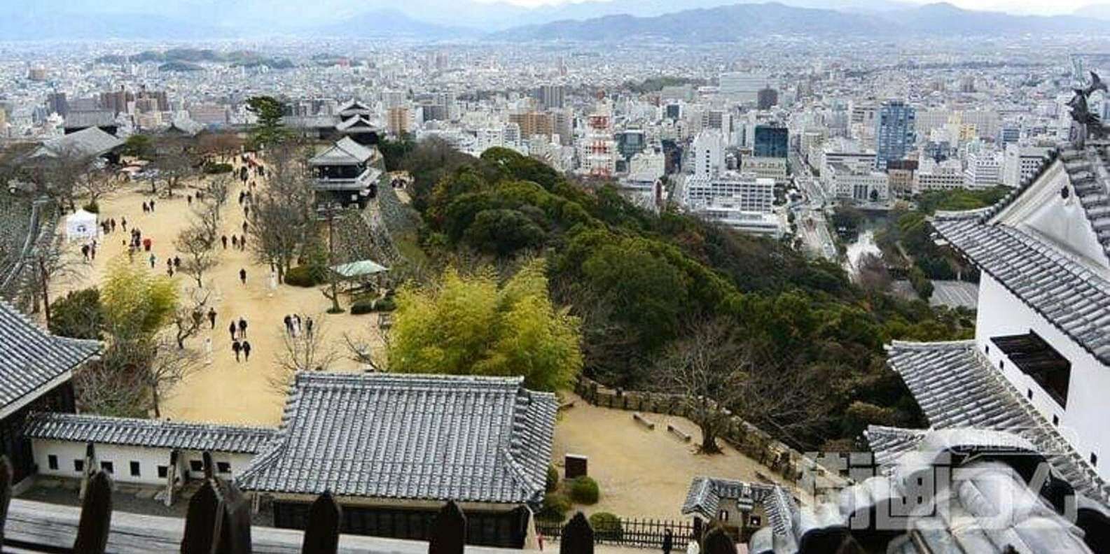 공인 가이드와 함께하는 맞춤형 프라이빗 투어 4시간 상세 이미지 3