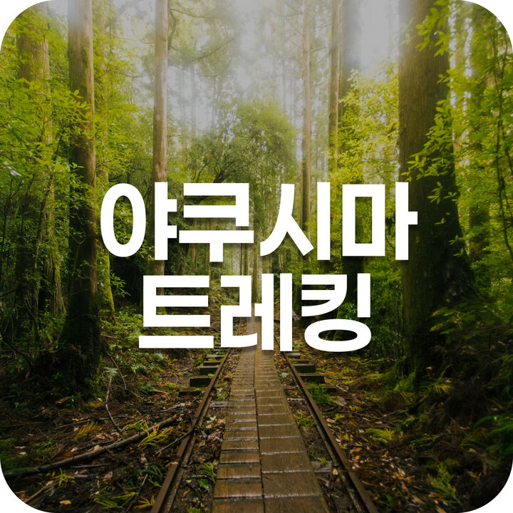 야쿠시마 트레킹