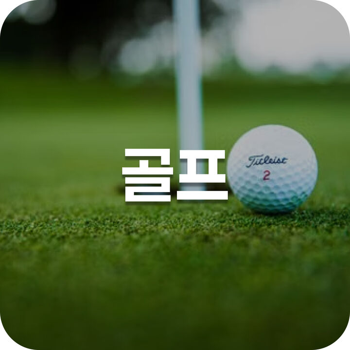 골프