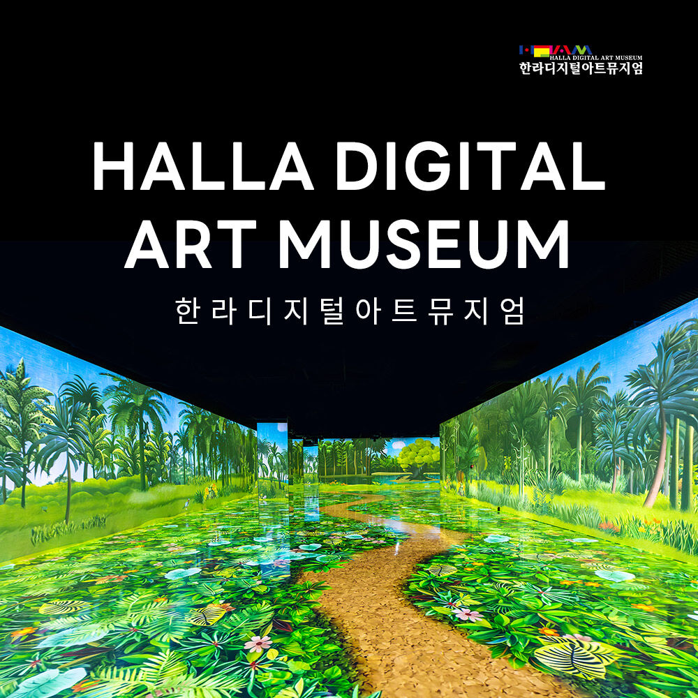 [제주] 한라디지털아트뮤지엄
