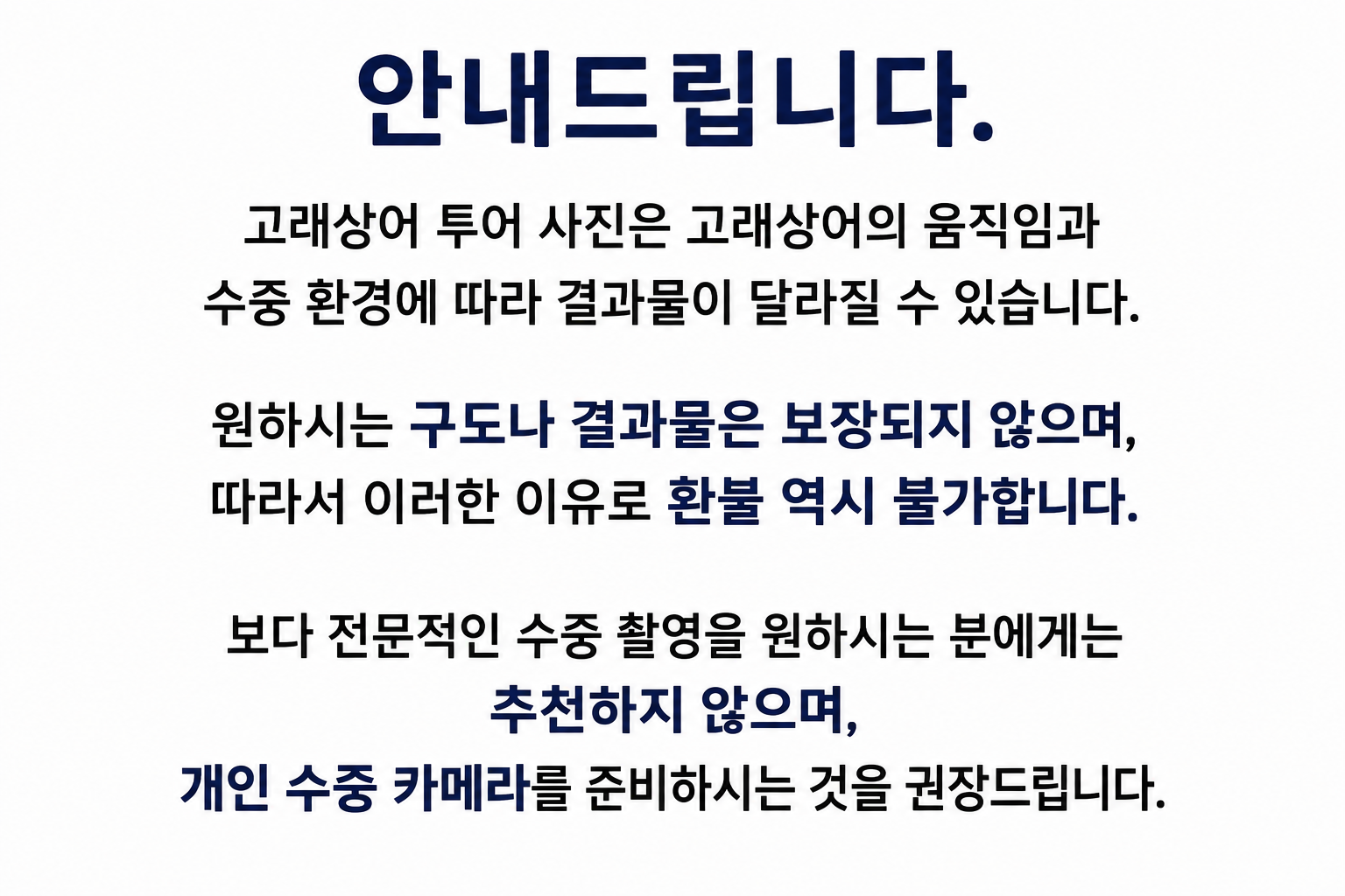  [보홀션] 보홀 출발 고래상어 투어 세부 오슬롭 원데이 스노쿨링 상세 이미지 7