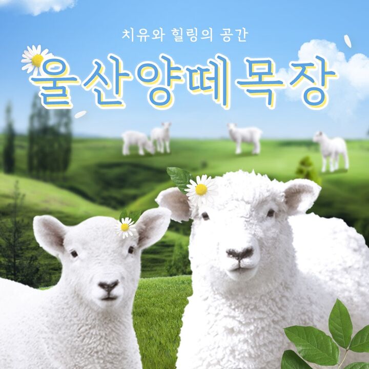 [울산] 양떼목장(울산가볼만한곳!~)-i