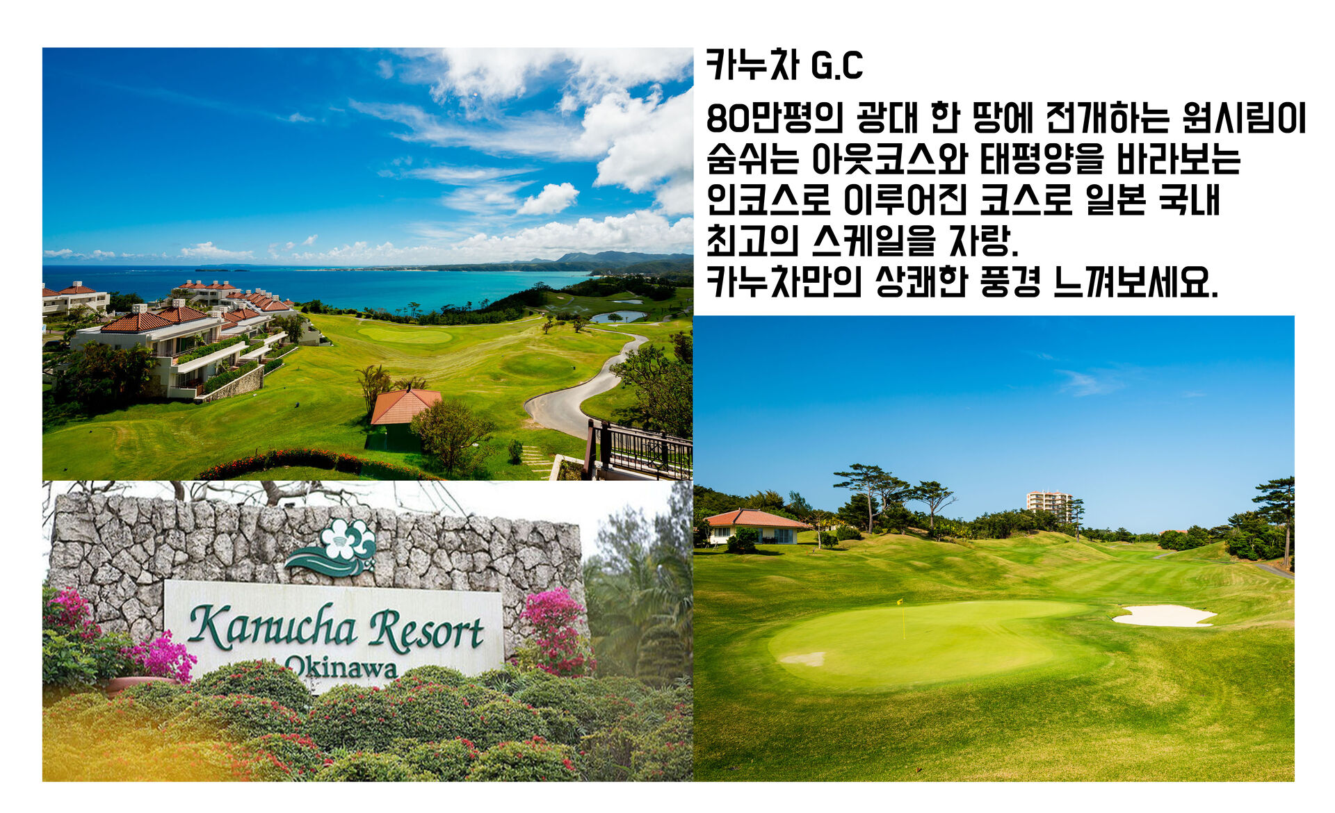 투어·티켓 상품 상세 이미지 4