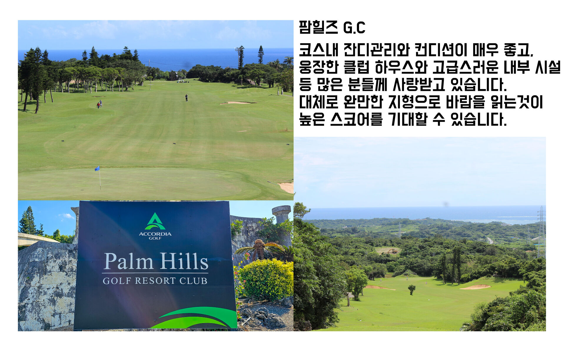 [오키나와 골프] 팜 힐스 골프 리조트 클럽 (그린+카트피+락커 포함 / 송영 옵션) 상세 이미지 5