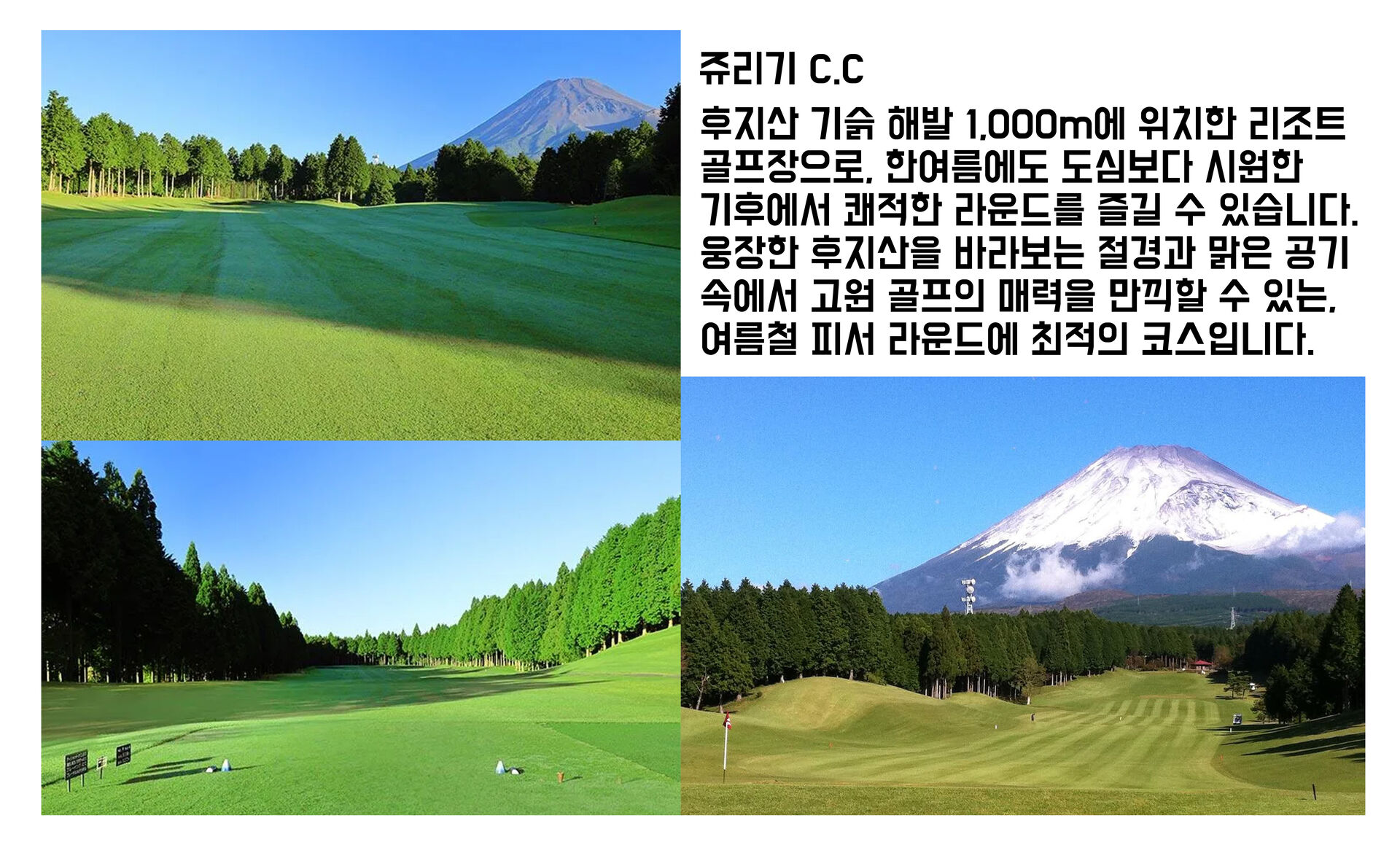 [시즈오카 골프] 쥬리기 컨트리 클럽 (그린+카트피+락커+런치 1,100엔 포함) 상세 이미지 4
