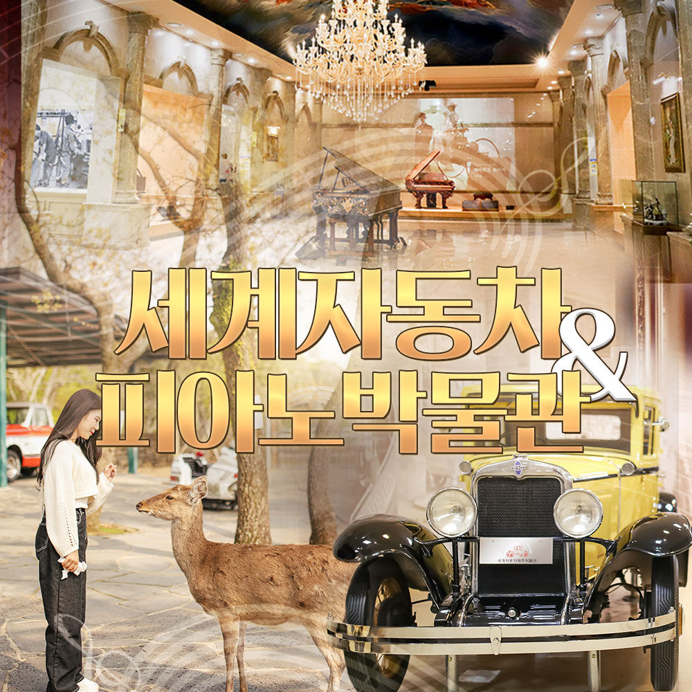[제주] 세계자동차&피아노박물관 