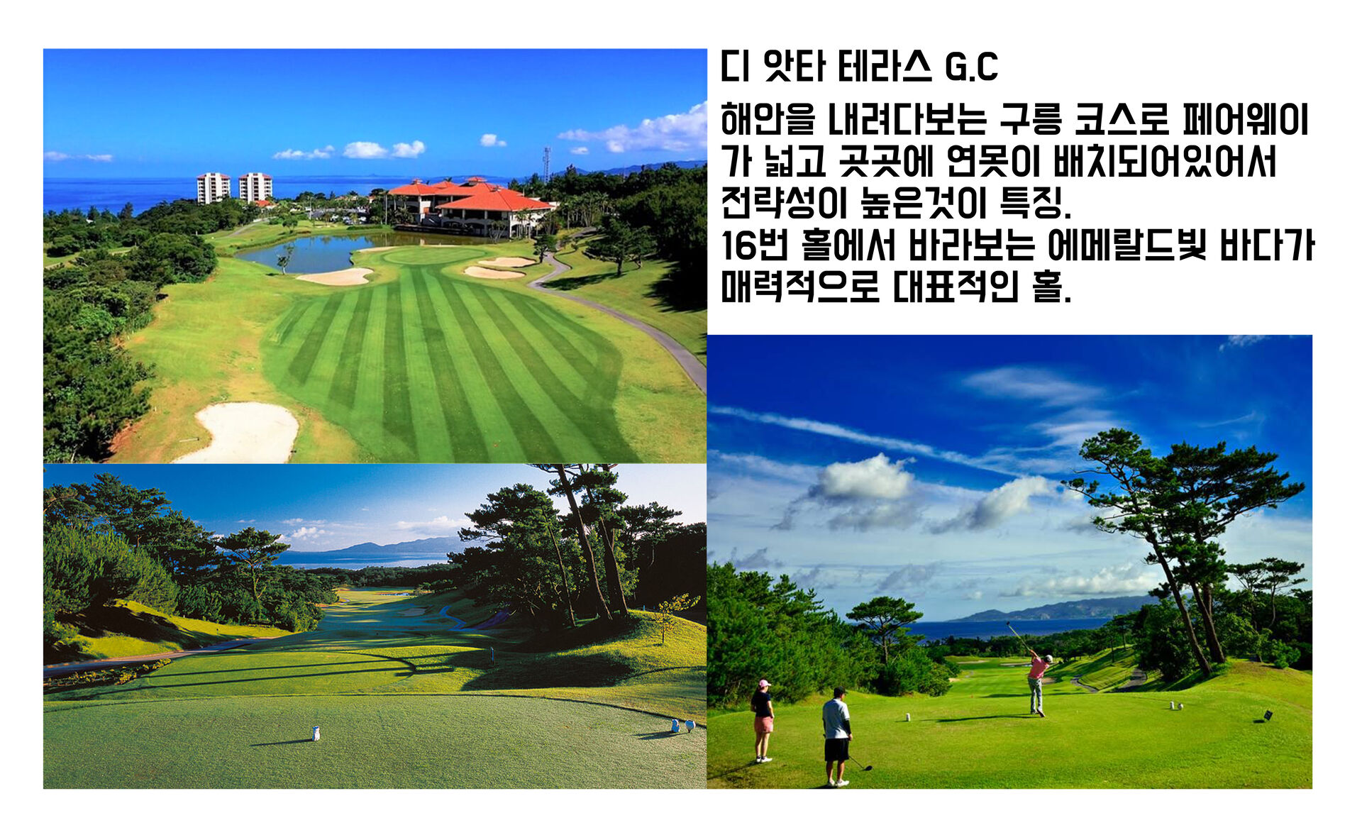 투어·티켓 상품 상세 이미지 4