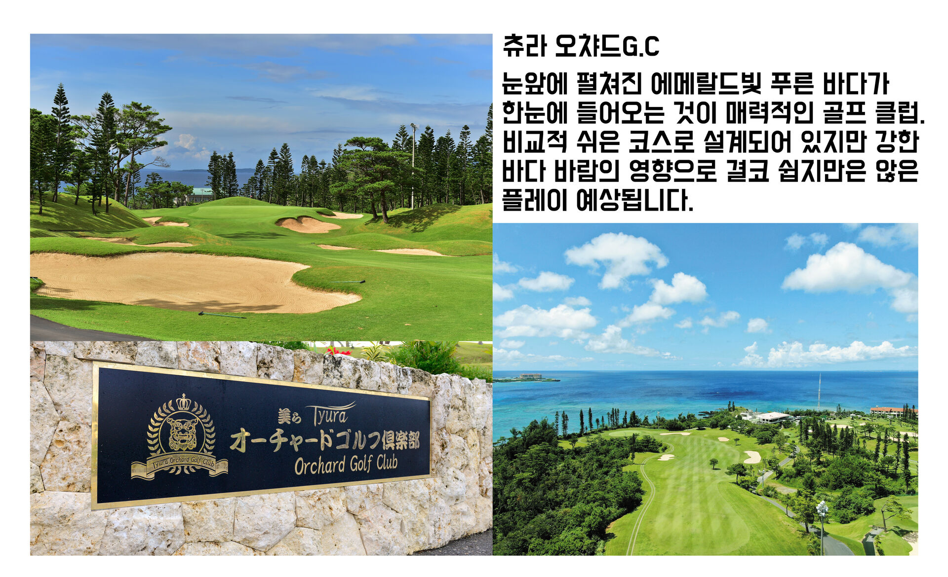 [오키나와 골프] 츄라 오챠드 골프 클럽 (그린+카트피+락커 포함 / 송영 옵션) 상세 이미지 4