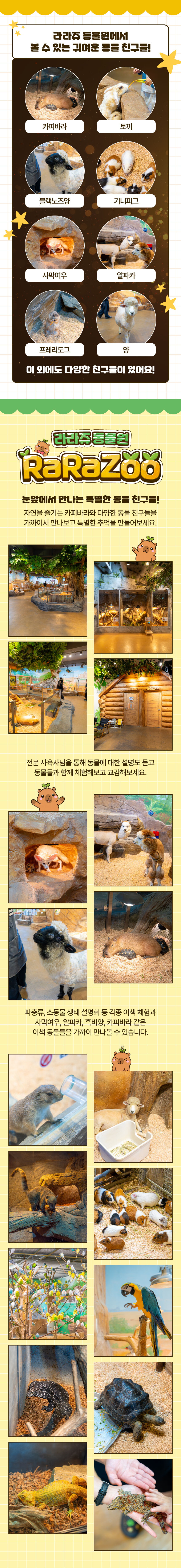 투어·티켓 상품 상세 이미지 4