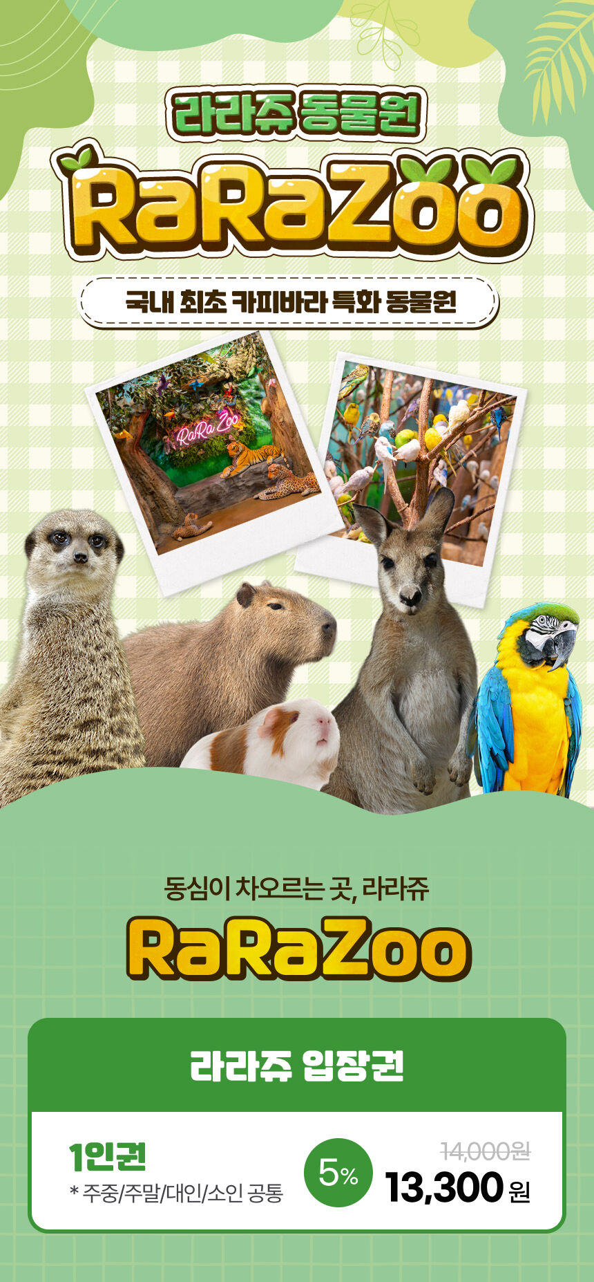 투어·티켓 상품 상세 이미지 2
