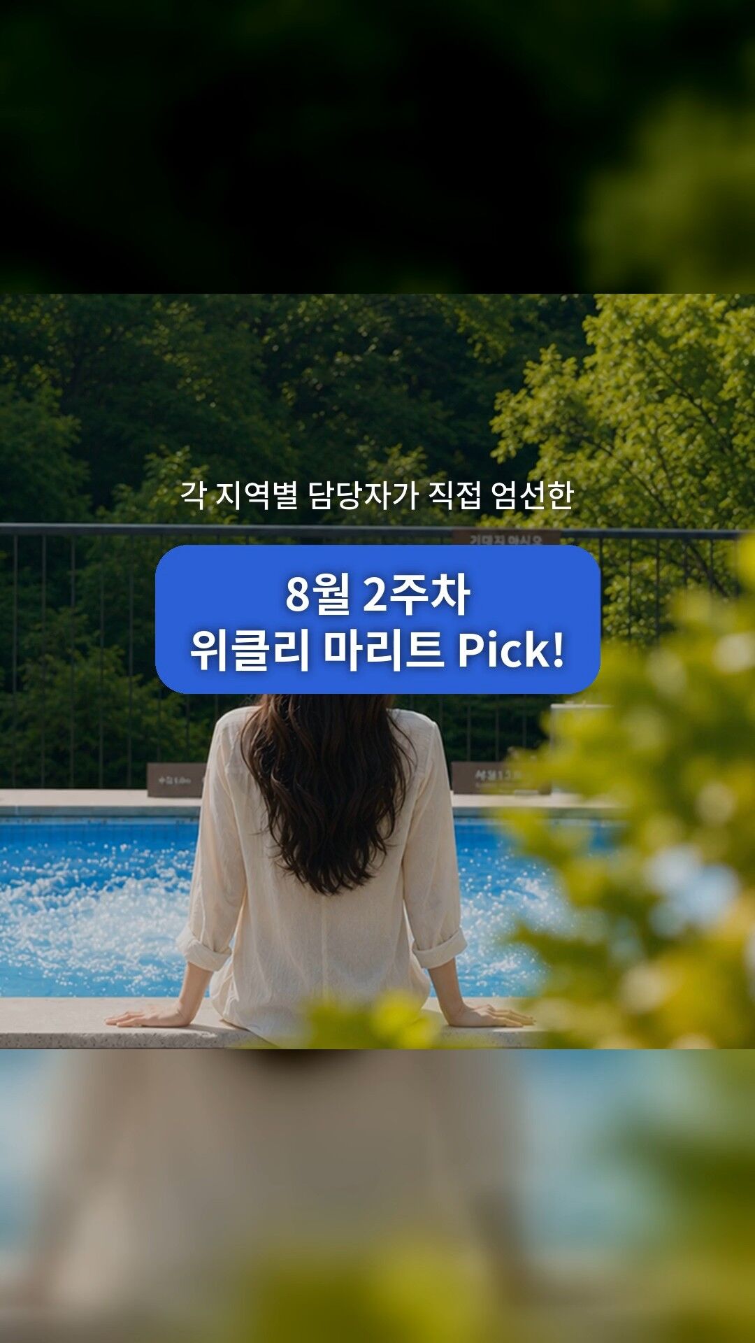 위클리 마리트 Pick!
