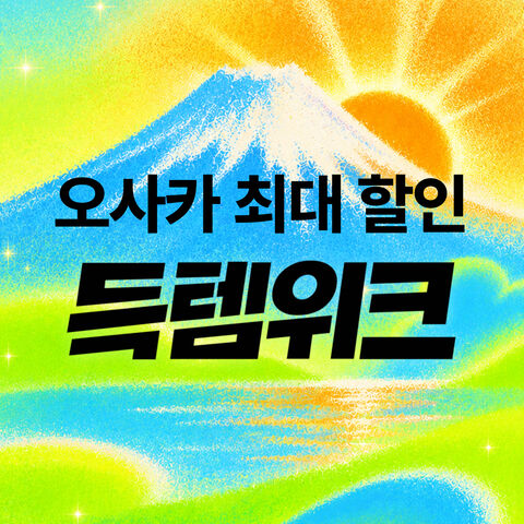 8월 초특가