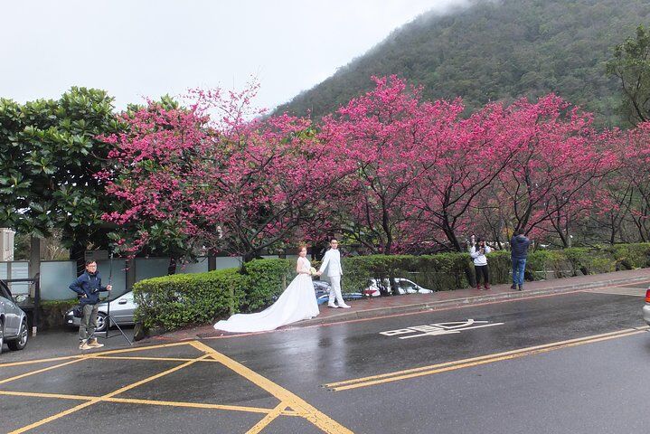 1 일 양밍산 NP 베이 토우 온천 공원과 탐수이 투어 패키지