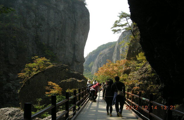 경북/청송 1일 #주왕산단풍트레킹 #청송정원 #빽일홍꽃잔치