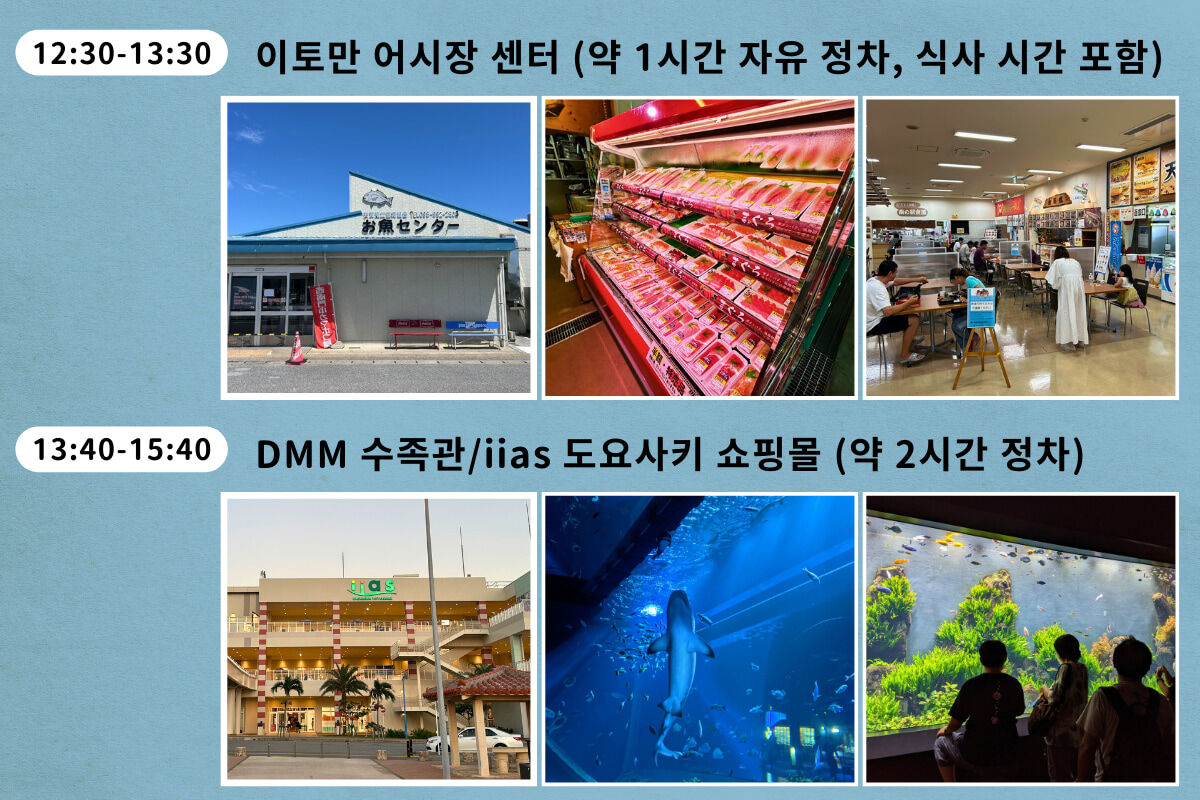 나하 출발 관광버스 1일 투어 :: 츄라우미 수족관 + DMM 아쿠아리움 (남북 노선 선택) 상세 이미지 3