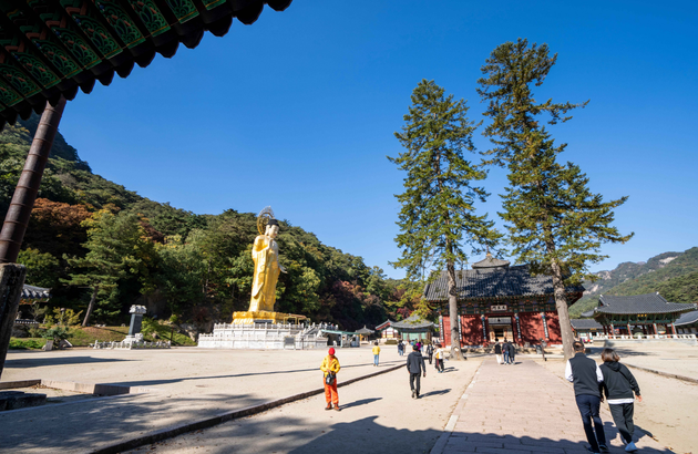 옥천/청주 2일 #충북웰니스 #3식제공 #부소담악 #화인산림욕장 #청남대 #말티전망대(2인1실)-i