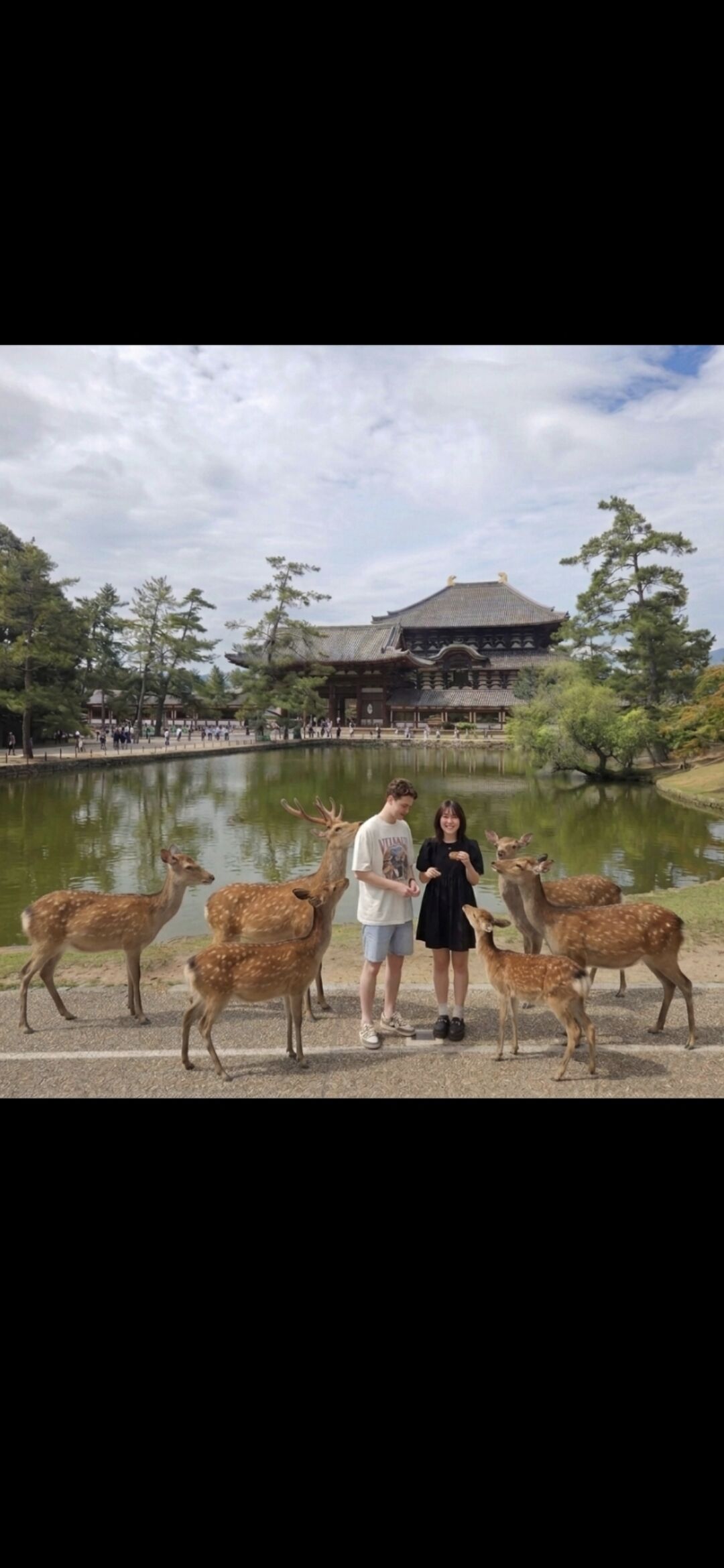  나라 교토  프라이빗 투어 , 코스변경 가능