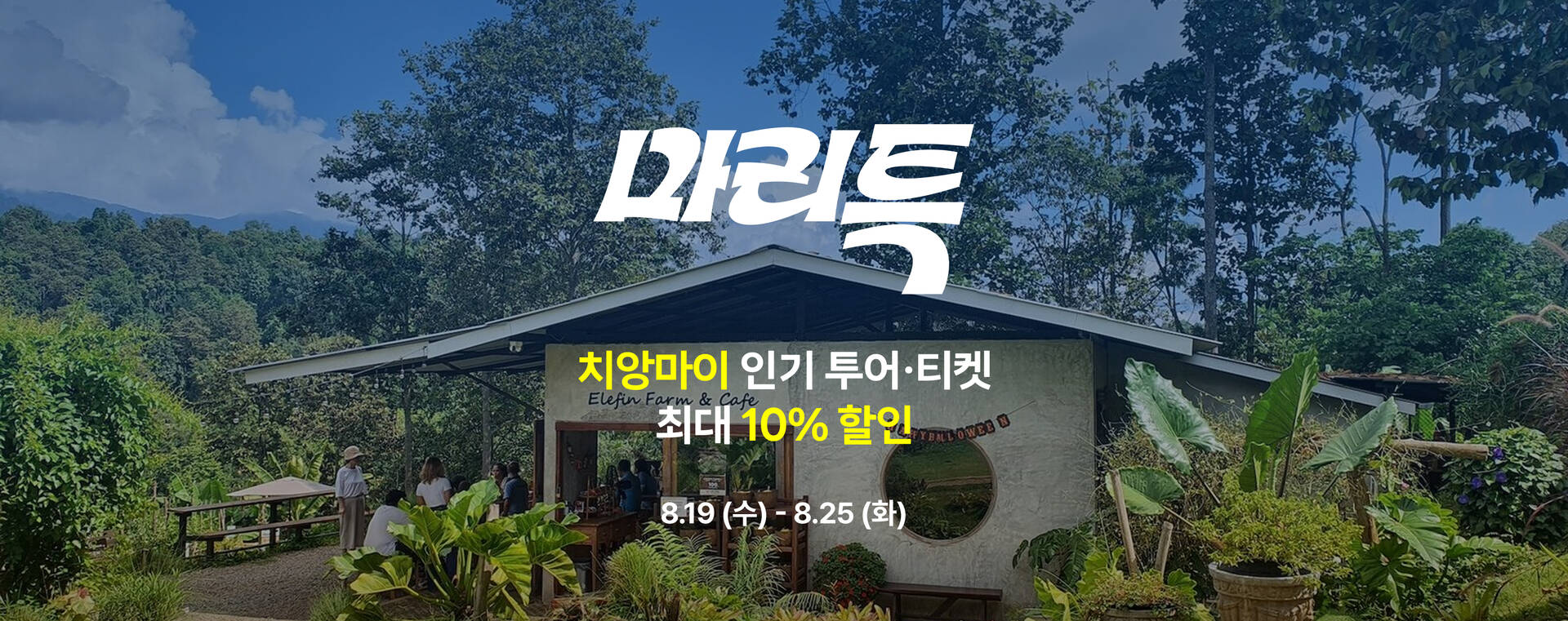 마리특_치앙마이@3x.jpg