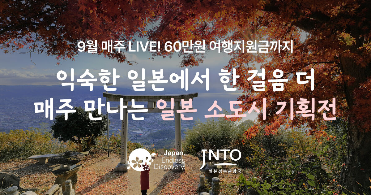 일본 소도시 항공+숙소 기획전