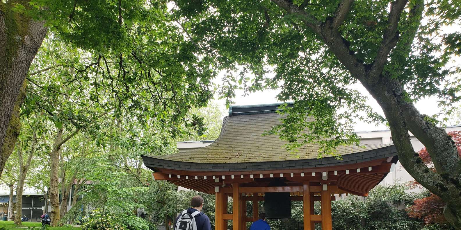 레이크 유니언 소그룹 가이드 카약 투어 (2시간) 상세 이미지 6