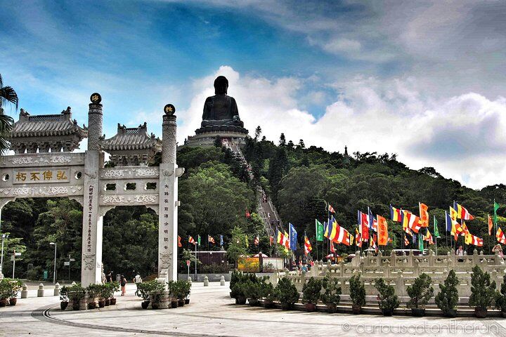 대 불상 (Big Buddha)과 타이 오 (Tai O)를 포함한 란타우 섬 (Lantau Island)의 1 일간 개별 투어