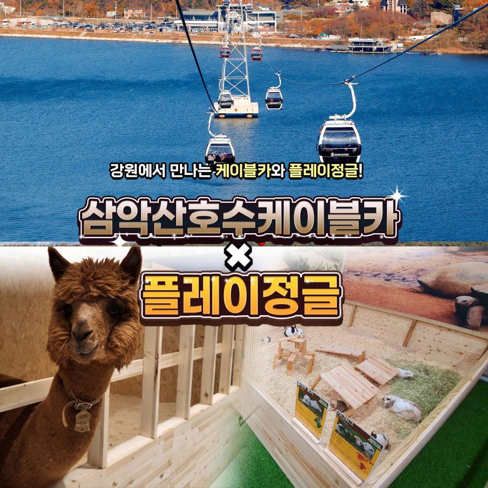 [강원] 삼악산케이블카X플레이정글 춘천엔타점 PKG 이미지