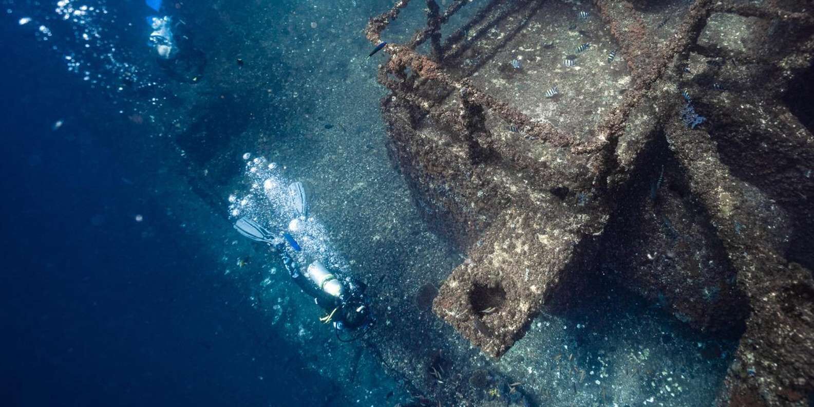Ex-HMAS 브리즈번 난파선 스쿠버 다이빙 (5시간, 2회 다이빙) 상세 이미지 2