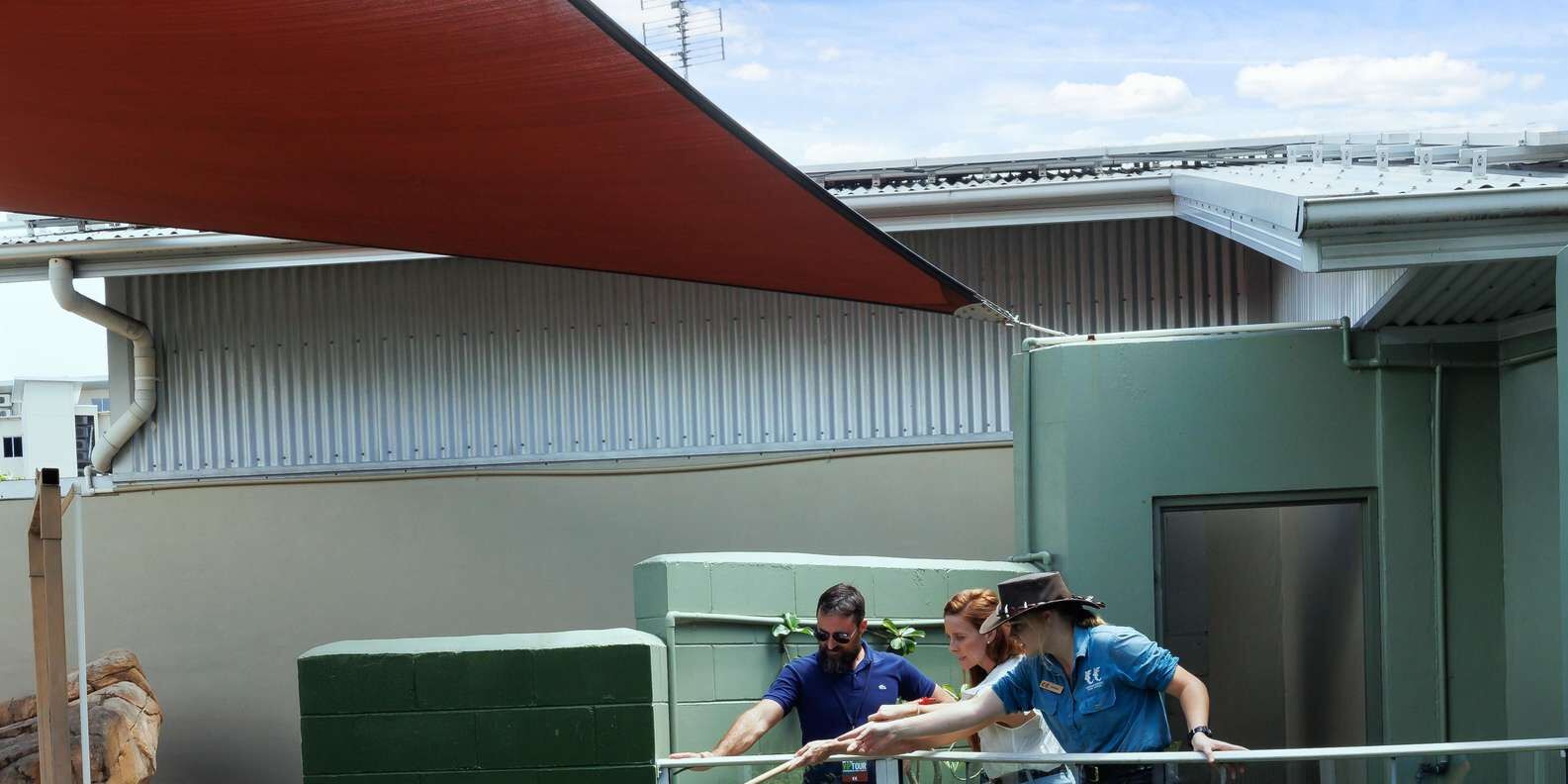 크로코사우루스 코브 VIP 투어 — 악어 먹이주기 + 종일 입장