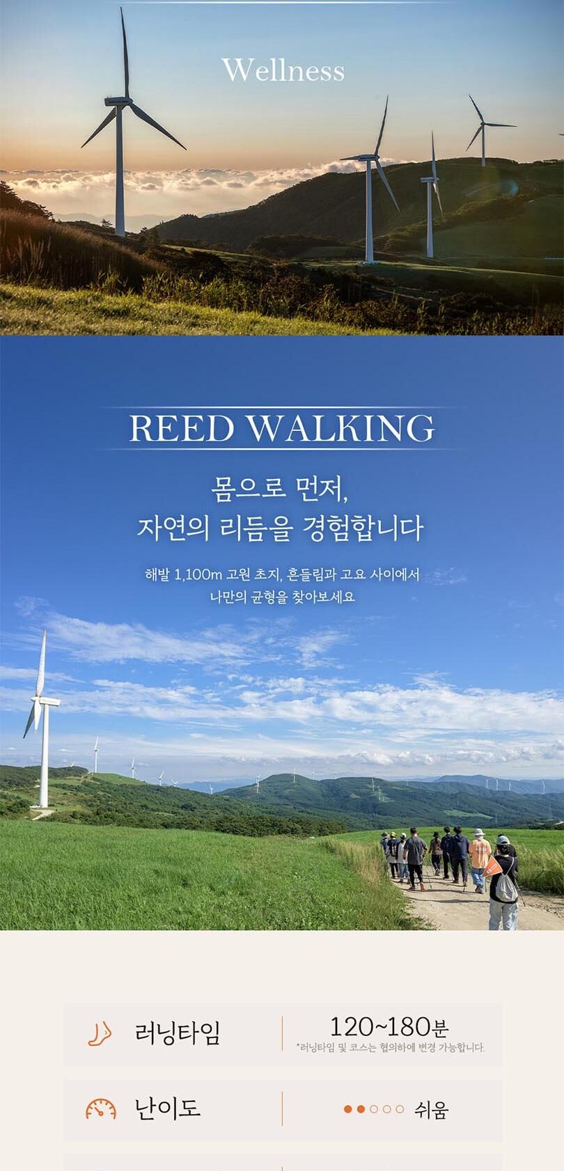 [강원 평창] 삼양라운드힐 웰니스프로그램: REED워킹&싱잉볼 상세 이미지 3