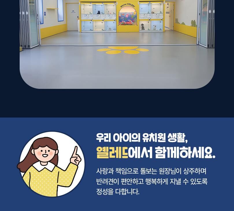 옐레드 대구신월성점 애견유치원 애견호텔 이용권 상세 이미지 12