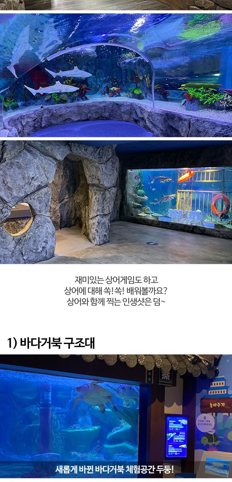 [부산] 아쿠아리움 시티즈 원더월드 입장권 상세 이미지 10