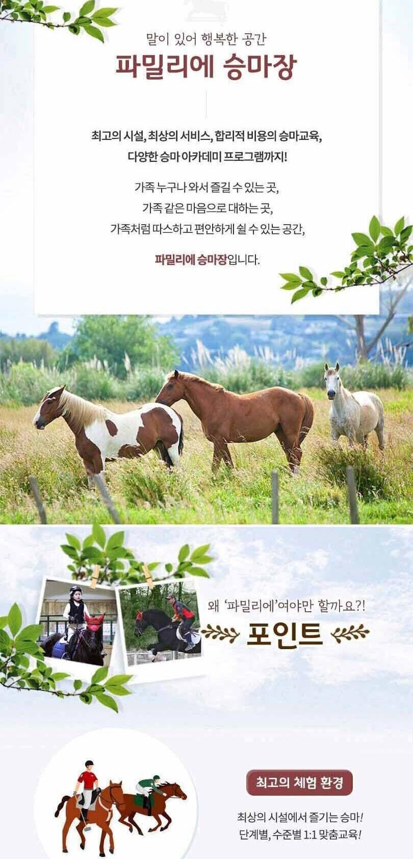[경기 이천] 파밀리에 승마장 승마체험(입장권/승마체험/레슨/재활) 상세 이미지 4