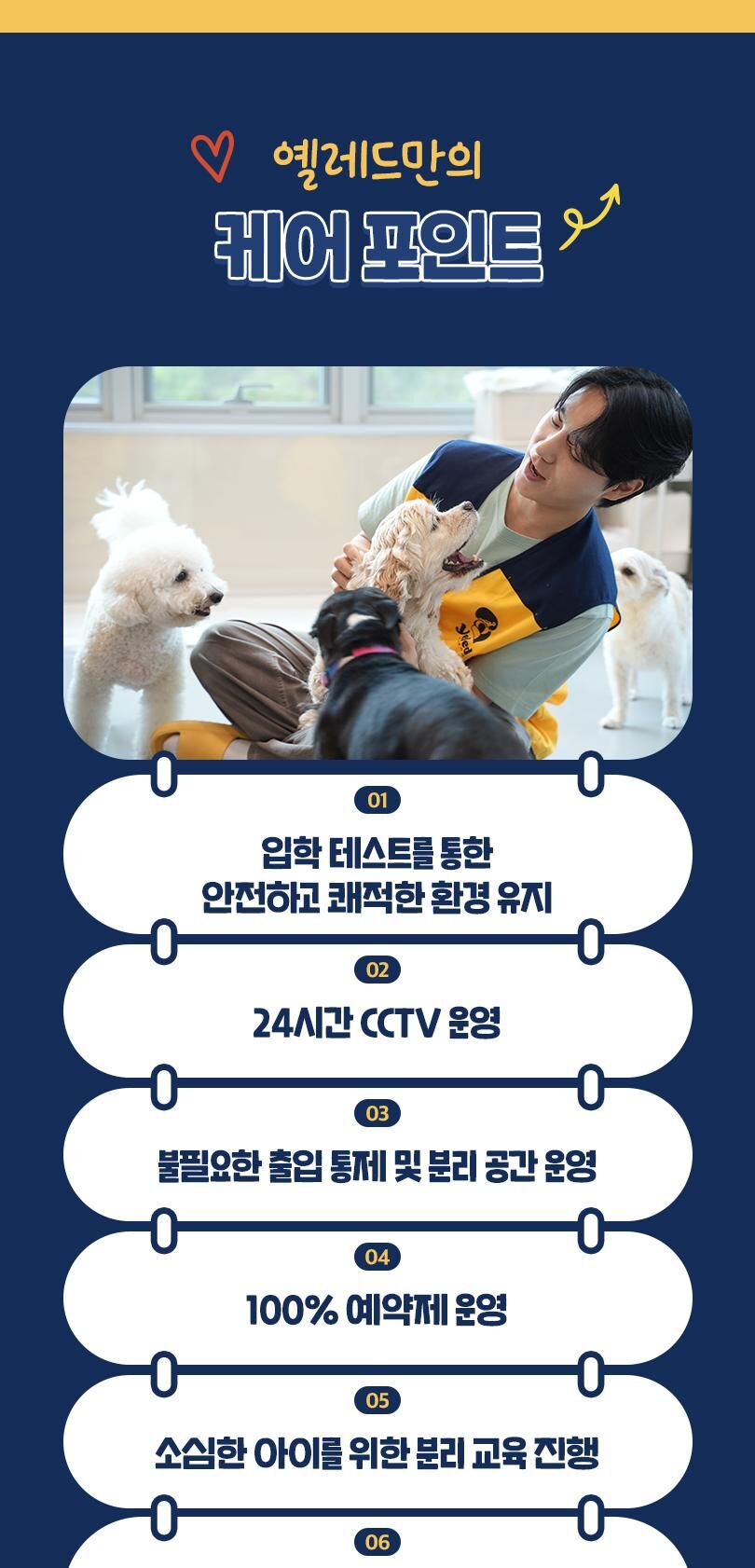 옐레드 더북한산점 애견유치원 애견호텔 이용권 상세 이미지 10