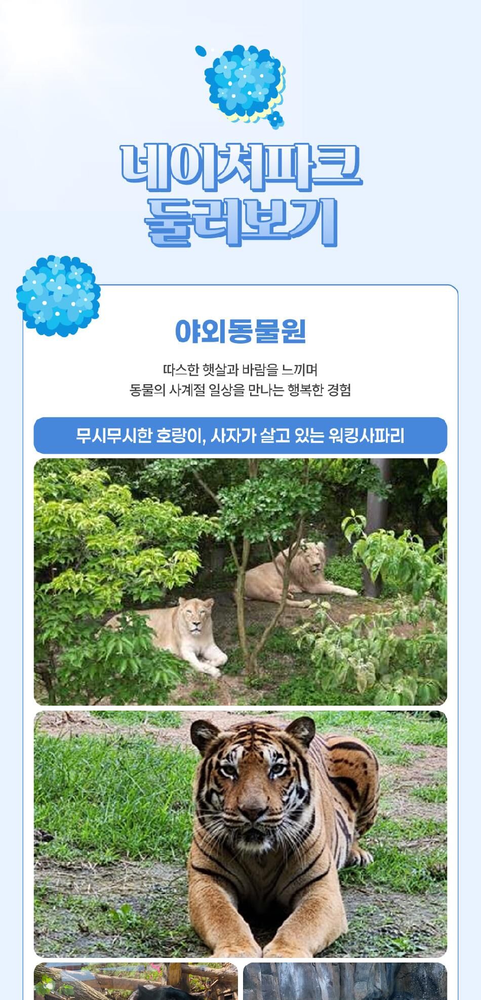 [대구] 네이처파크 이용권 상세 이미지 11