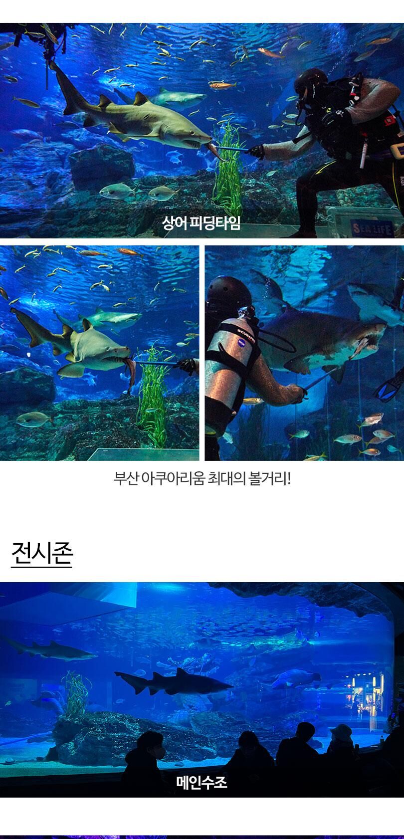 [부산] 아쿠아리움 시티즈 원더월드 입장권 상세 이미지 17