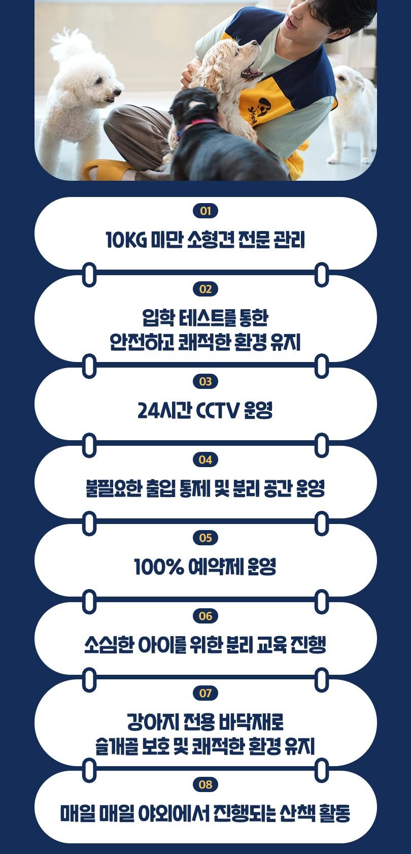 옐레드 인천구월점 애견유치원 애견호텔 이용권 상세 이미지 10