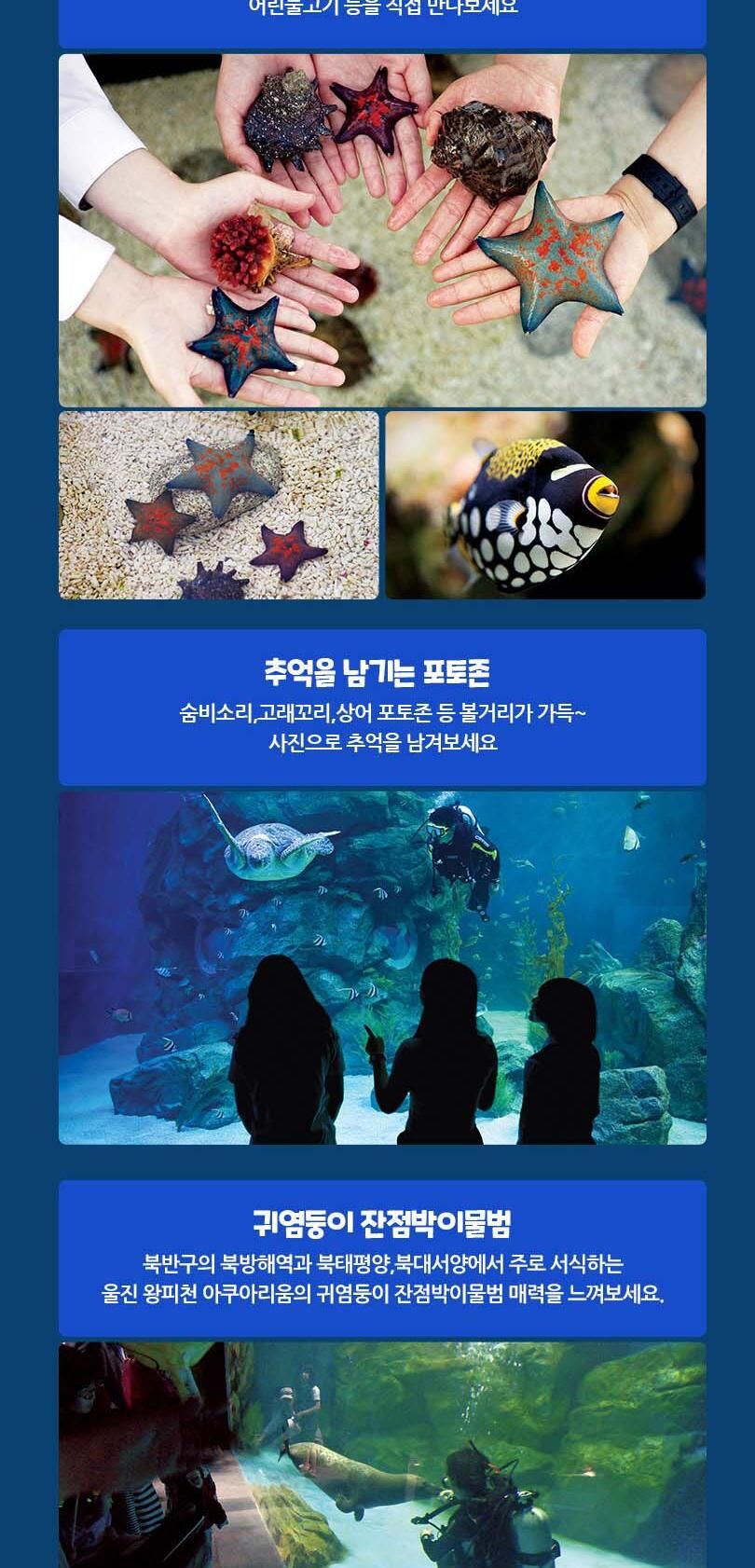 [경북]울진 왕피천 아쿠아리움 상세 이미지 7